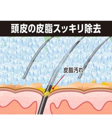 Japan Health and Beauty - PRO TEC (protection) scalp stretch Shampoo pump 300g (quasi-drugs) *AF27* - Buy Online on GoSupps.com