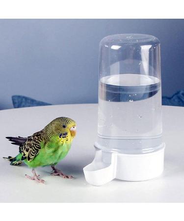 perfk Parrot Bird Water Feeder Pigeon Water Dispenser Water Pot Container Bird Cage Accessories for Poultry Parrot Parakeet Budgie Chicken 415ML - Buy Online on GoSupps.com