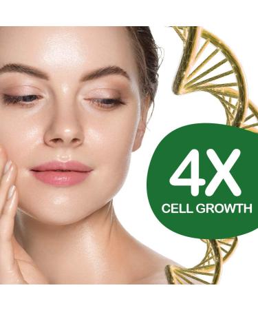 BOT cosmetic wellness ALOE VERA GEL & SEAWEED Fat Burner 200 ML 100 Natural - Buy Online on GoSupps.com