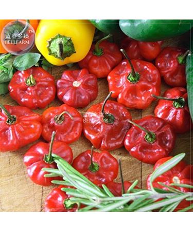 Farm Scotch Bonnet Rossi (Giallo) Hot Pepper semi di ortaggi 15 Semi 100% ritrovati Hot Chili giardino Della casa commestibile Bd201Hxt2