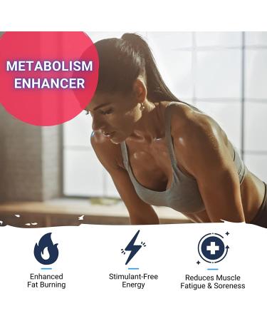 Gaspari Nutrition Liquid L-Carnitine 3000 Stimulant Free Non-GMO Gluten Free Energy Boost & Metabolism Support (32 Servings Orange Pineapple - Buy Online on GoSupps.com