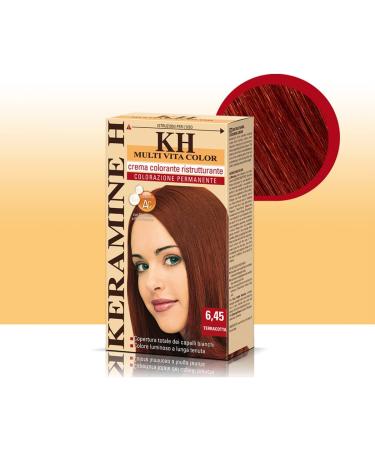 SOCO Keramine H Terracotta 330 ml 3 packages of 110 ml - Buy Online on GoSupps.com