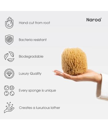 Natural Exfoliating Sea Sponge | Naroa Unbleached Grass Body Puff for Adults | Mediterranean Scrub with Rope - Buy Online on GoSupps.com