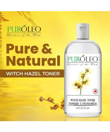 PUROLEO Witch Hazel Toner 16 Fl Oz/473 ML (Packed in Canada) Refresh and Revitalize Your Skin with | Premium Bottle | Luxury Skin Care Toner | Facial Toner for Postpartum & Skincare 473 ml (Pack of 1) - Buy Online on GoSupps.com