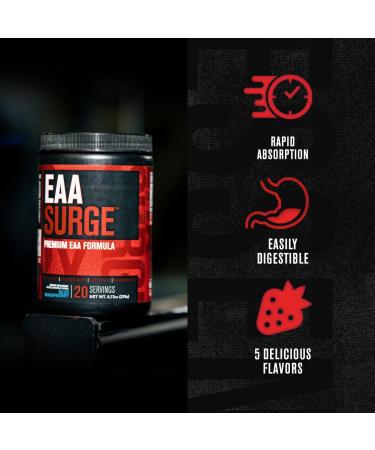 EAA Surge Premium EAA Supplement - Muscle Building & Recovery Powder - Blue Raspberry 20 Servings - Buy Online on GoSupps.com