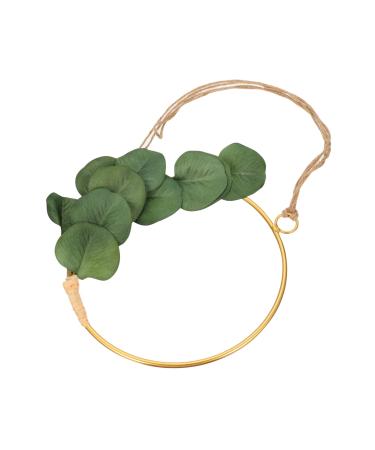 Alipis Wrought Iron Gate Hanging Wreath Decor Eucalyptus Hoop Wreath Valentine's Day Garland Household Green 20x20cm