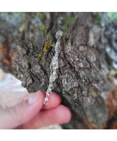 Santo Volcano Volcano Elixir Face Serum Oil 30 ml - Buy Online on GoSupps.com