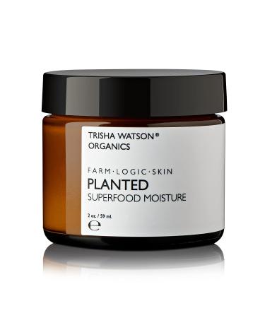 Planted Superfood Moisture | All-Natural Face/Skin Moisturizer for Daily Use | Cream with Aloe Shea Butter Jojoba | 2 oz | 59 mL