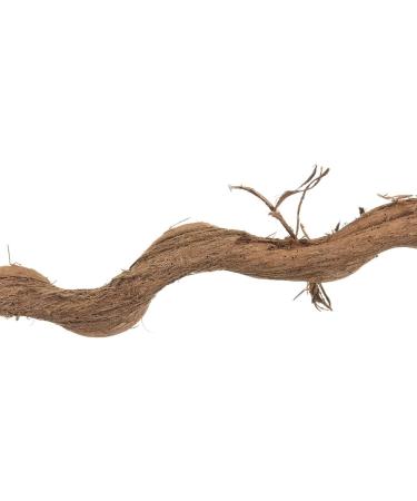 HappyBird Natural Spiral Liana Perch for Parrots - 90-100cm | Ideal for Healthy Bird Perching - Buy Online on GoSupps.com