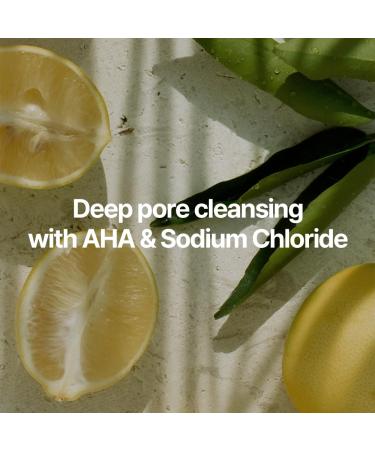 BOUQUET GARNI NARD Body Wash - Tea Tree Rosemary 16.9 fl. oz. / Rich Foam Cleanser with 5 Herbal Extracts, AHA & Pore Purifying Agents - Buy Online on GoSupps.com