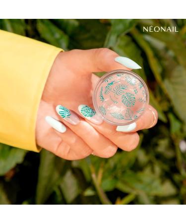 Neonail Stamping Plate 16 | Nail Art Stencil for Creative Designs | Perfect for French Nails | International Shipping Available - Buy Online on GoSupps.com