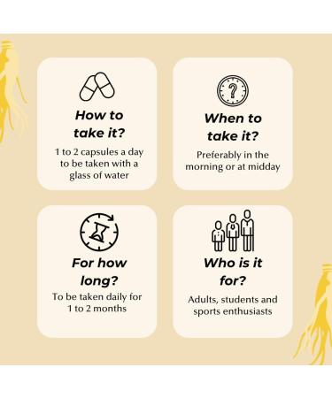 Korean Red Ginseng 30 Capsules - Stimulant for Men Ginseng | Natural Belgium Grown Panax Ginseng Dietary Supplement | Energy - Vitality | Optim Ginseng - Buy Online on GoSupps.com