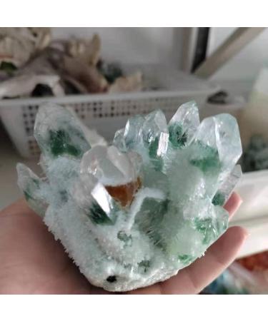 Natural Crystal Rough 1pc Natural Green Phantom Quartz Crystal Cluster Yellow Citrine Stone Ornaments 300G-900G for (Color : 1pc570g-640g Size : 1PC) 1PC 1pc570g-640g - Buy Online on GoSupps.com