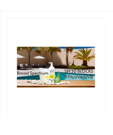 Buy SUN SPF30 Moisturizer - Hydrate & Protect Dry Skin with Broad Spectrum UV Block | 16 Oz Apricot Breeze - International Shipping Available - Buy Online on GoSupps.com