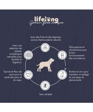 Amazon Brand - Lifelong Complete food for senior dogs of medium and large breeds without cereals made with fresh chicken meat - 5kg*2 - Buy Online on GoSupps.com