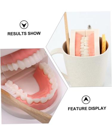 3 Sets of Early Dental Education Toys for Toddlers | Role Play Brushing Toys | Reusable Fun - Buy Online on GoSupps.com