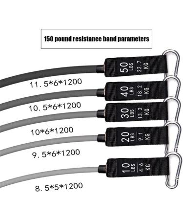 16 Pcs/Set Fitness Resistance Bands 200LB Men Training Belt Yoga Bands Pull Rope Gym Equipment Elastic Tube (Multi Colored) Multicolor colored - Buy Online on GoSupps.com