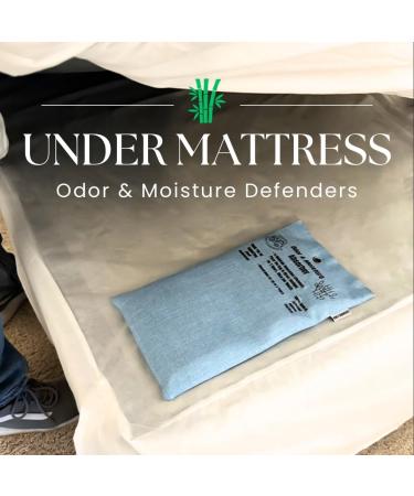 4 Extra Large Activated Charcoal Bamboo Odor Absorber Bags - Ultimate Moisture Control & Air Purifying Solution | Eco-Friendly Odor Eliminators for Home & Travel - Buy Online on GoSupps.com