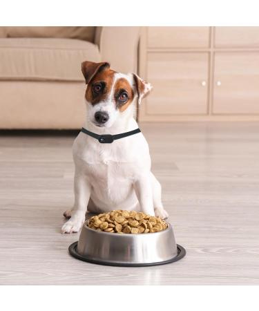 Cat Collar Camera For Pet - Hd 1080P Wireless Cameras & Monitors | Mini Pet Camera For Video Records Portable Stable Sport Action Body Camera For Cats Dogs Outdoor/Indoor Puppy Supplies Birthday Gift Black - Buy Online on GoSupps.com