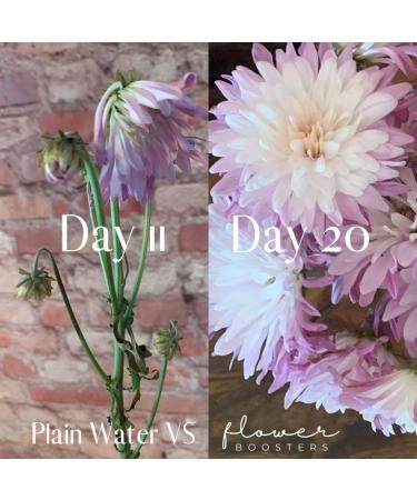 Flower Boosters Cut Flower Food for Fresher Vase Life Up to 20 Days or More (12.5 Ounces) - Buy Online on GoSupps.com