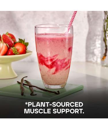 Bulk Vegan Strawberry Protein Powder 500g - New & Improved Formula, 14 Servings - Buy Online on GoSupps.com