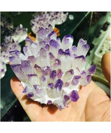 Natural Ingredients Natural Crystal Cluster Amethyst Specimen Ore Purple Quartz Reiki Stone Raw Crystal Home Decor FUZEGRDLI (Size : 300-400g) - Buy Online on GoSupps.com
