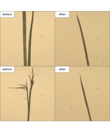 Briogeo Don t Despair Repair! Strengthening Treatment Oil Hair Oil for Dry Damaged Hair | Sulfate Silicone & Paraben-Free | 1 fl oz | International Shipping Available - Buy Online on GoSupps.com