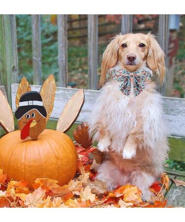 Unique Style Paws Dog Collar with Fly | Comfortable Cotton Thanksgiving Collar for Young Girls' Dogs | XS Neck 8-12in | Turkey Party - Buy Online on GoSupps.com