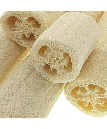 Buy Luffa Cucumber Sponge Set - Natural Fiber Sponges (10 19 34cm) - 3 Pieces for Eco-Friendly Cleansing | International Shipping Available - Buy Online on GoSupps.com