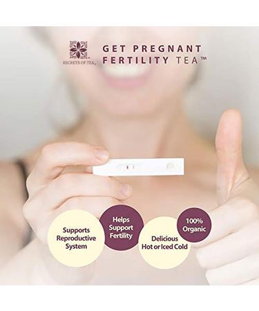 Organic Fertility Tea with Chasteberry & Red Raspberry Leaf | Aid Conception, Ovulation, Menstrual Cycles | 40 Cups, 1 Pack - Buy Online on GoSupps.com