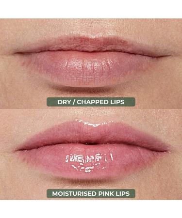 Vishopy Nourishing Nude Natural Lip Balm Baby & Pregnancy safe Shea Butter Cocoa Butter Vitamin E & Coconut Oil Provides Lip Care to Dry Chapped & Dark Lips Moisturizes Softens Lips (Chocolate) 8g - Buy Online on GoSupps.com