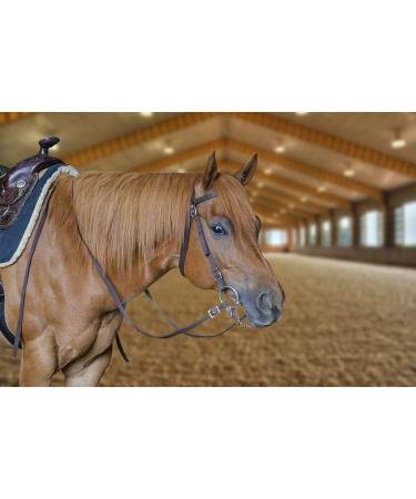 Tahoe Tack Double Layer Nylon Headstall with Reins - Variety of Colors & Sizes - Buy Online on GoSupps.com