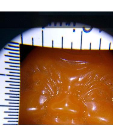 Magnifying Glasses for Hobbies Reading Magnifier High Magnifying Glass Holding 45 Magnifying Glass Reading HD Light Guide 30 Times Portable Optical HD Ancient Currency Cultural Games Stamps - Buy Online on GoSupps.com