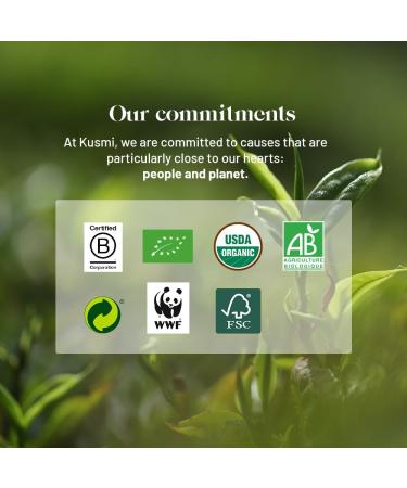  KUSMI TEA Kusmi Tea - Vanilla Rooibos - Pack of 2 boxes - Organic Infusion - Rooibos from Organic Farming - Caffeine-Free Infusion - Enjoy Hot or Iced Tea - 2 x 20 Tea Bags - Buy Online on GoSupps.com