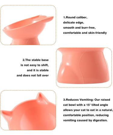3PCS Raised Cat Bowl Set - Elevated Feeding Bowls with Stand | Anti-Vomit, Neck Protective Design for Pets | Tilted Raised Cat Feeder by Fanshiontide - Buy Online on GoSupps.com