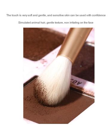 12-Piece Makeup Brush Set with Blush Concealer Eyeliner & Makeup Bag - International Shipping Available - Buy Online on GoSupps.com