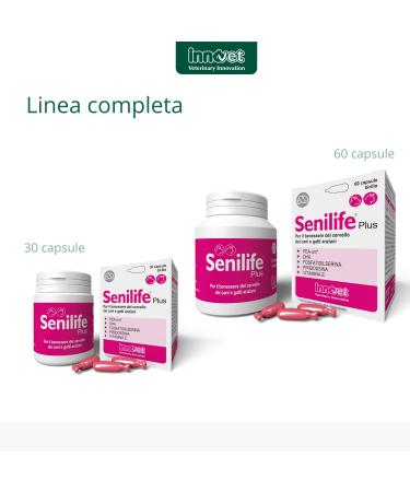 Senilife Plus for the well-being of the brain of older dogs and cats improves cognitive functions and memory for successful brain aging 60 single-dose capsules - Buy Online on GoSupps.com
