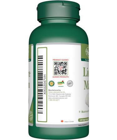 VORST Lion's Mane Mushroom Extract Supplement 1000mg Per Serving 120 Vegan Capsules | Supplement for Cognitive & Mental Health | Nootropic | NON-GMO | Powder Pills | 1 Bottle 120 count (Pack of 1) - Buy Online on GoSupps.com