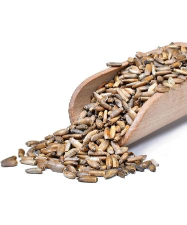 Vivarini Milk Thistle 500g | Herbal taste and deep aroma | Ideal complement to infusions - tea and yerba mate and to dishes | Milk thistle seeds | 0.5kg - Buy Online on GoSupps.com