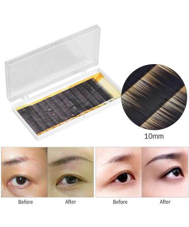 Dioche Eyebrow Extensions - Sanitary False Eyebrows in 9mm/10mm/11mm | Lash Enhancer - Dust-Proof & Stylish - Buy Online on GoSupps.com