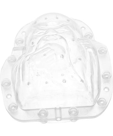 Yardwe 2pcs Fruit Shaping Mold Vegetable Mould Tool Pumpkin Molds for Garden Fruits Mold Stereotypes Melon - Buy Online on GoSupps.com