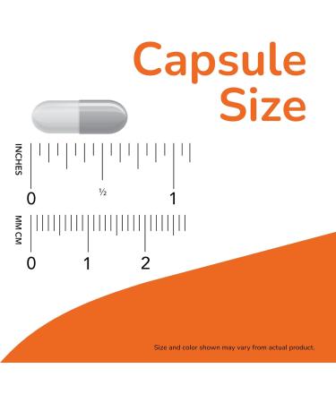 NOW Foods Supplements Probiotic-10 25 Billion with 10 Probiotic Strains Dairy Soy and Gluten Free Strain Verified 30 Veg Capsules 30 Count (Pack of 1) Supplements - Buy Online on GoSupps.com