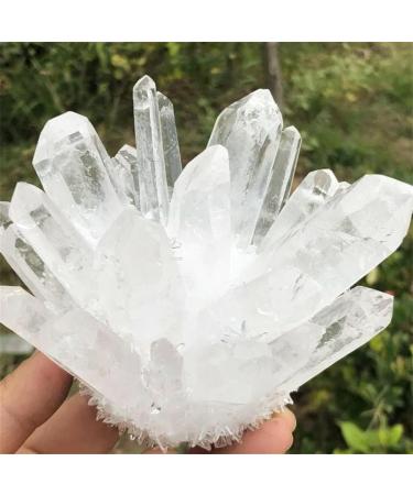Natural White Crystal Cluster Quartz Crystal Collection Full of Texture (Size : 450-500g) - Buy Online on GoSupps.com