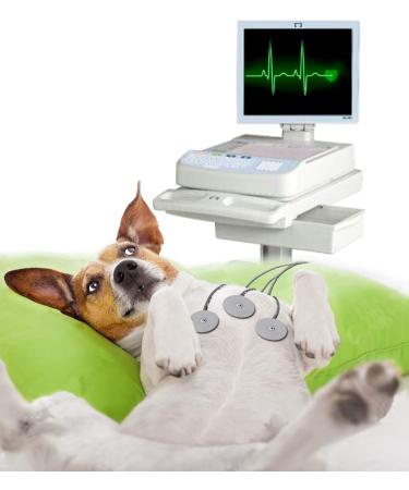 Canimove Cardio Mini - 100 Capsules | Veterinary Supplement for Heart Health Blood Pressure & Circulation - International Shipping Available - Buy Online on GoSupps.com