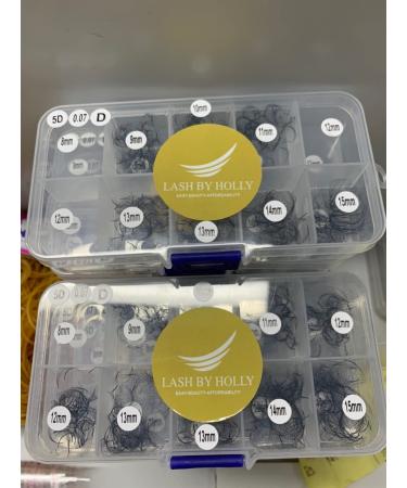 800 Fans Lash by Holly | Pre-Made Handmade Lash Fans | Mix Lengths 9-16mm | Hybrid 5D800Fan-D | International Shipping - Buy Online on GoSupps.com