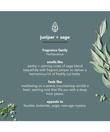 Method Men 2-in-1 Shampoo + Conditioner Juniper & Sage 6 Pack - Buy Online on GoSupps.com