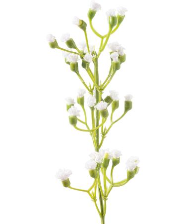 Ashland Ivory Mini Baby's Breath Spray 12 Pack - Buy Online on GoSupps.com