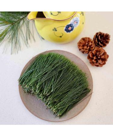 Woodlanders Artisan Organic Canadian Eastern White Pine Needle Tea (LOOSE LEAF) Fresh Loose Leaf Whole Pine Needle Tea and a Product of Canada ::: 1 pound (lb) / 454g / 16oz ::: woodlanders.ca - Buy Online on GoSupps.com