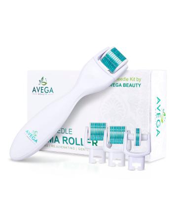 Derma Roller Kit for Face & Body: 0.25mm Length Microneedle Dermaroller Tool - Microneedling Facial Kits with 3 Replacement Heads with 600 Titanium Micro Needles, 1 with 180 Needles & Storage Case