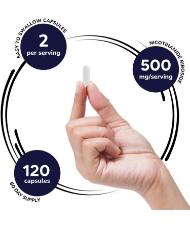 Genex Formulas NR Nicotinamide Riboside 500mg/Serving (120 Capsules) NAD+ Precursor for Healthy Aging - GMP-Certified Non-GMO Gluten-Free Vegetarian (1 Pack) 120 Count (Pack of 1) 500mg - Buy Online on GoSupps.com